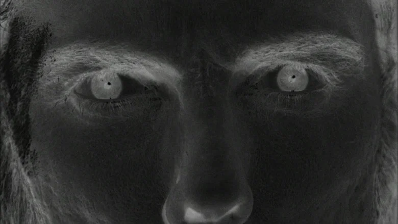 Devil Doll screenshot 8