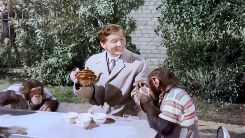 Carry On Regardless screenshot 4