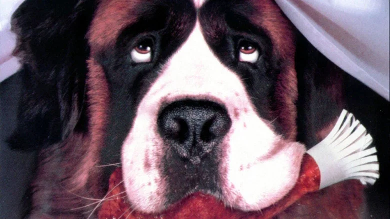 Beethoven screenshot 8