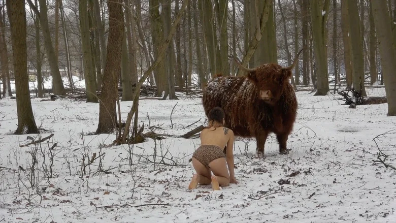 Missing Link screenshot 1