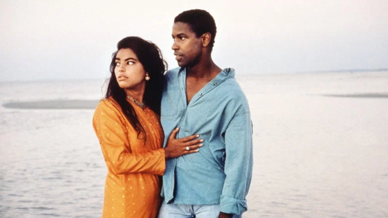 Mississippi Masala screenshot 1