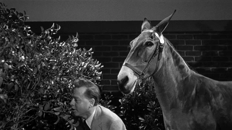 Francis in the Haunted House screenshot 4