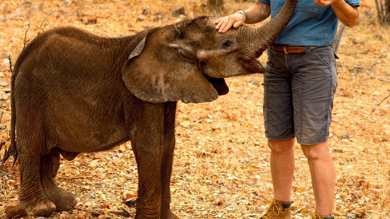 Namibia, Sanctuary of Giants screenshot 7