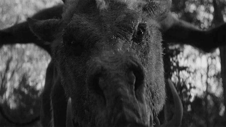 Em & Selma Go Griffin Hunting screenshot 1