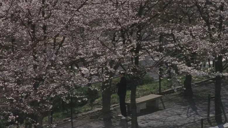 Blue Spring screenshot 6