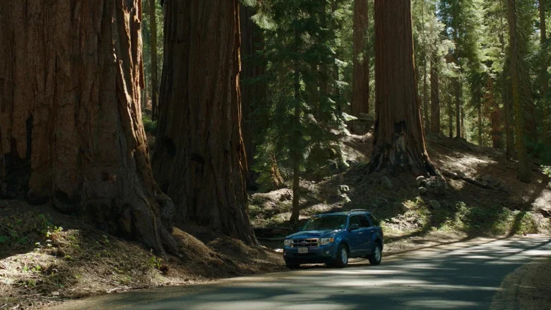Sequoia screenshot 1