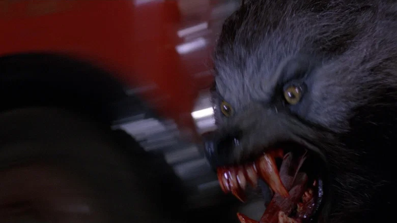 An American Werewolf in London screenshot 7
