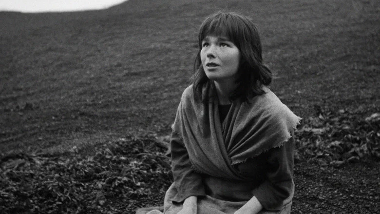 The Juniper Tree screenshot 7