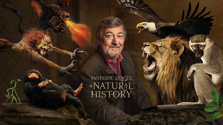 Fantastic Beasts: A Natural History screenshot 5