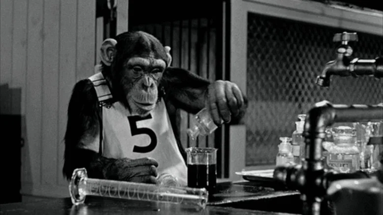 Monkey Business screenshot 7