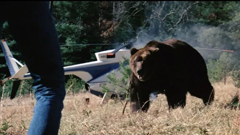 Grizzly screenshot 8