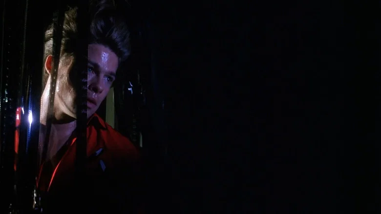 Johnny Suede screenshot 3