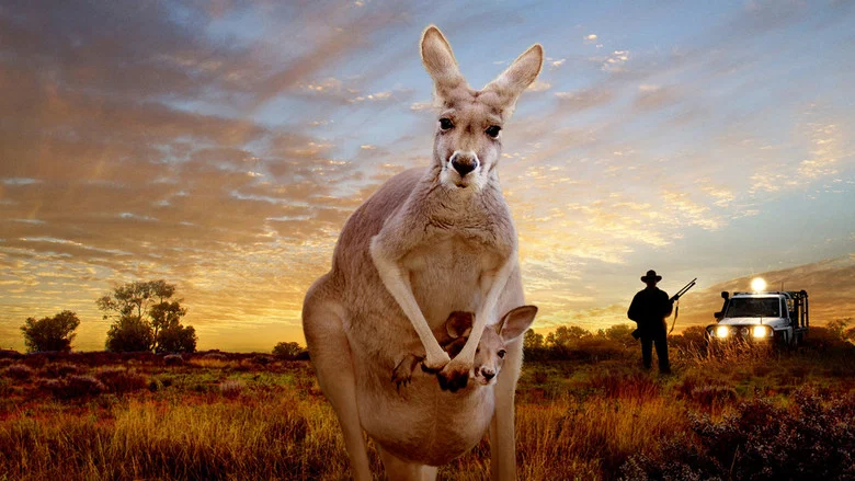 Kangaroo: A Love-Hate Story screenshot 1