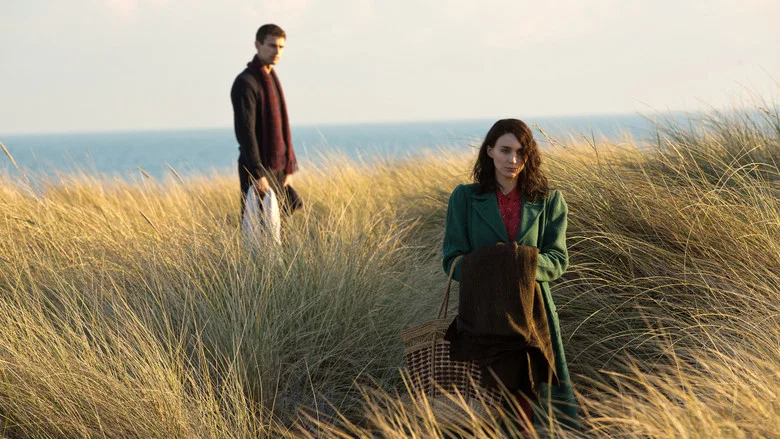 The Secret Scripture screenshot 1