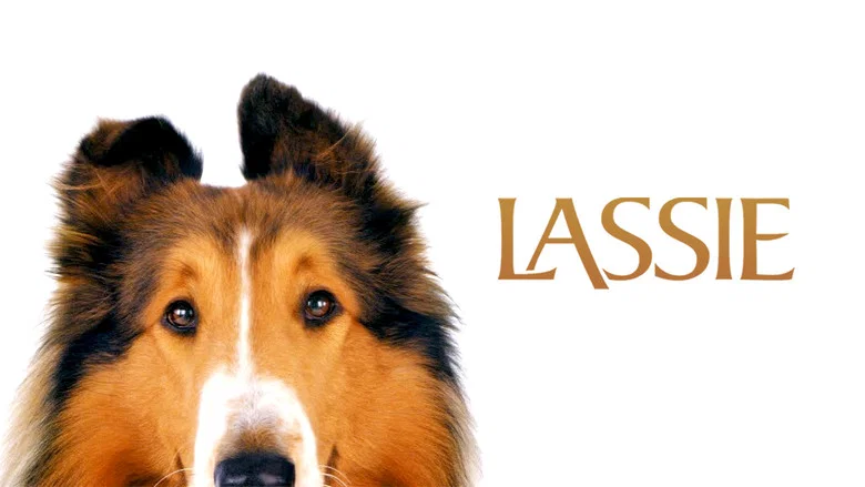 Lassie screenshot 5
