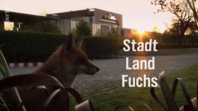 Stadt, Land, Fuchs! screenshot 1