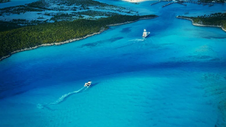 Fyre Fraud screenshot 4