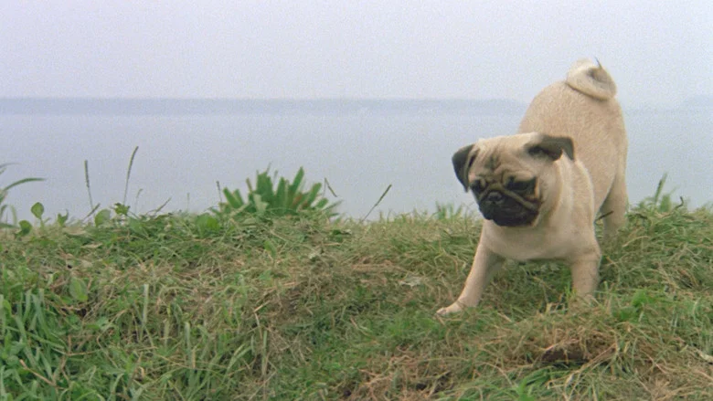 The Adventures of Milo and Otis screenshot 5