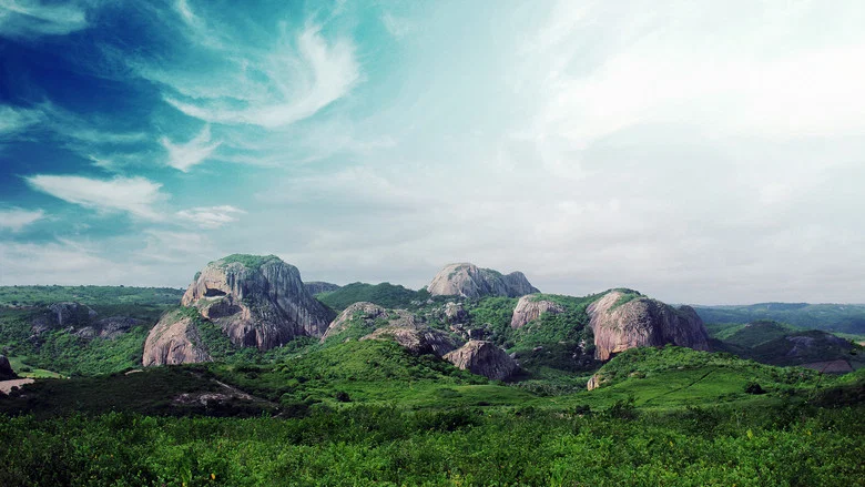 Wild Brazil screenshot 1