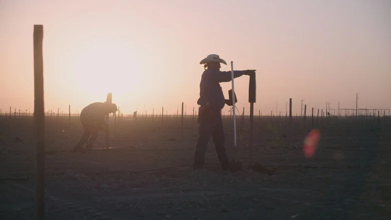 Oaxacalifornia: The Return screenshot 4
