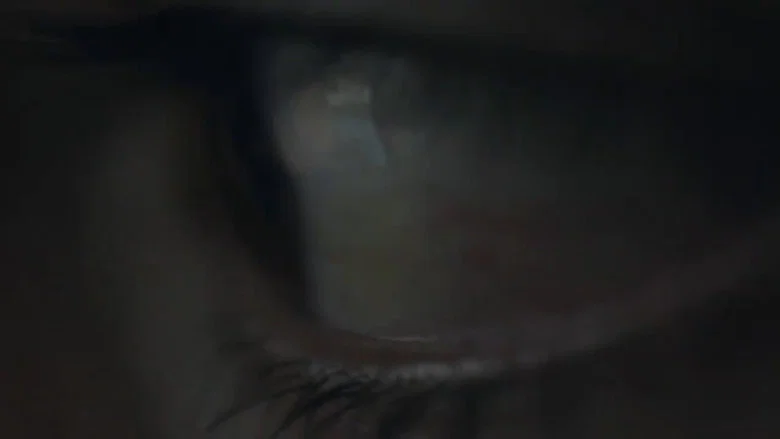 Um Novo Ângulo screenshot 5