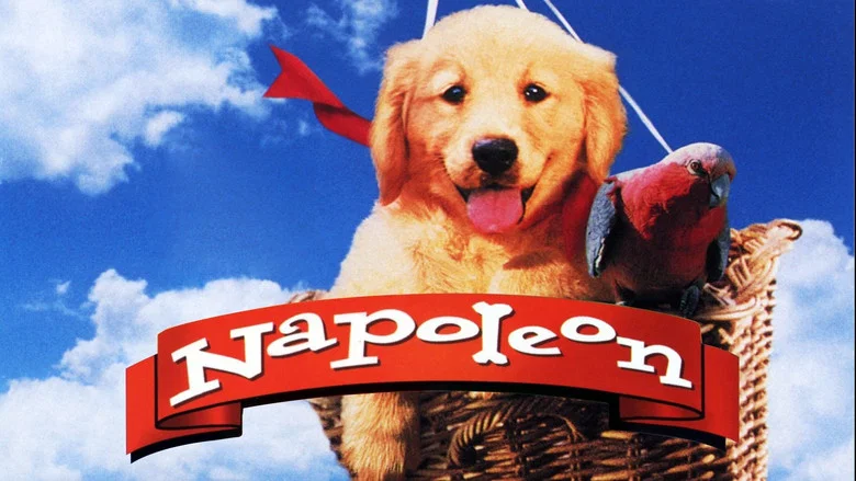 Napoleon screenshot 4