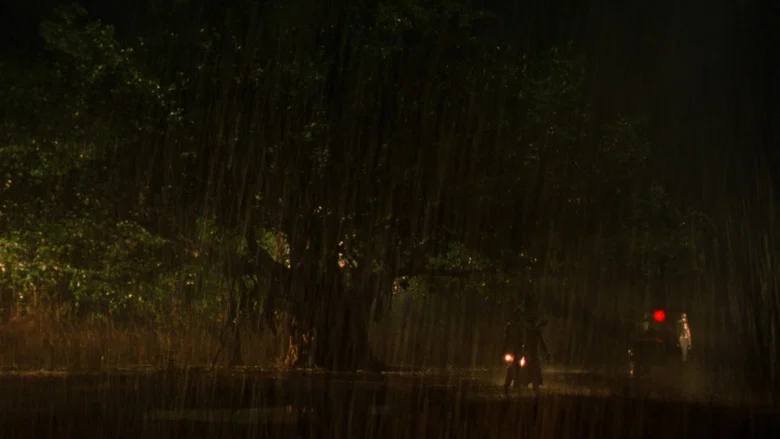 Monsoon Wedding screenshot 4