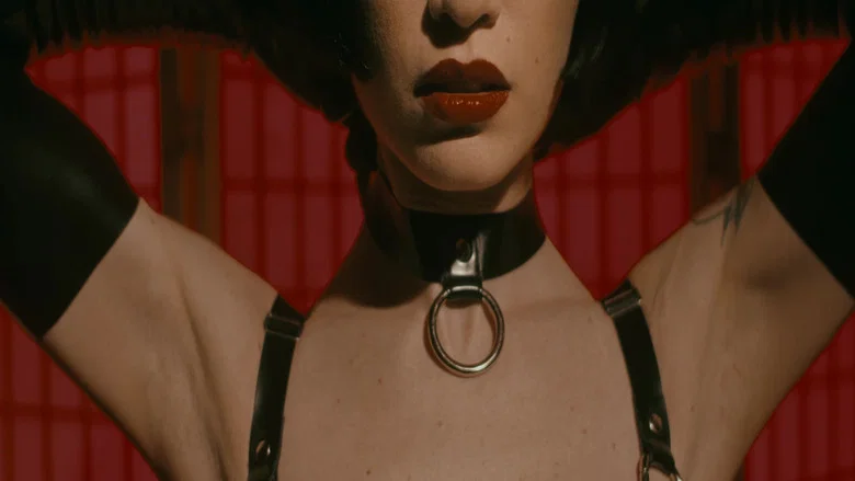 The Pleasure in Pain screenshot 1