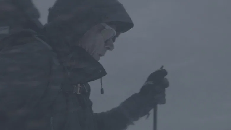 Wandering in the White screenshot 1