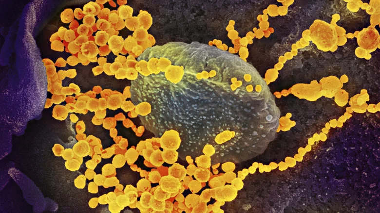 Breakthrough: Virus Fighters screenshot 3