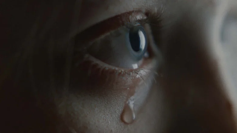 Anastatica screenshot 1
