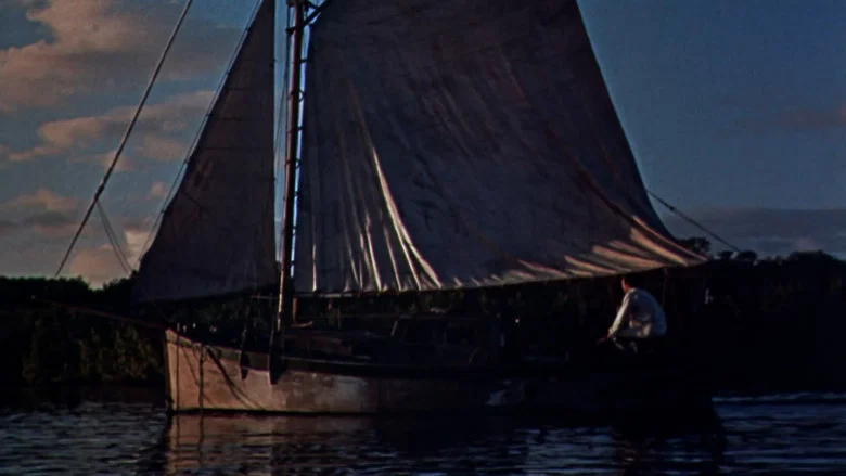 Wind Across the Everglades screenshot 5