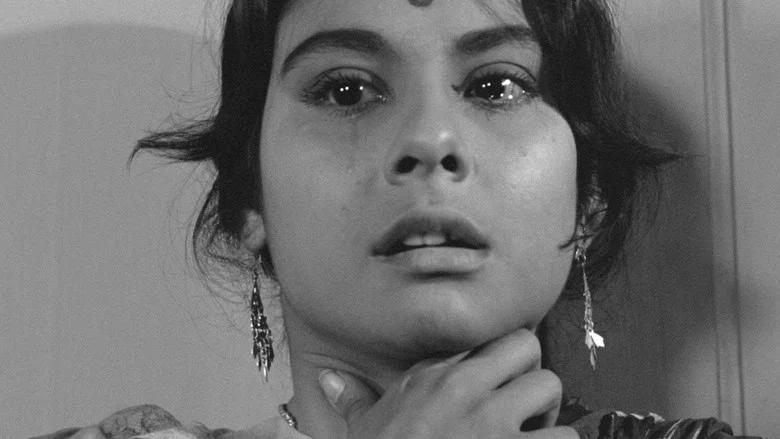 Charulata screenshot 2