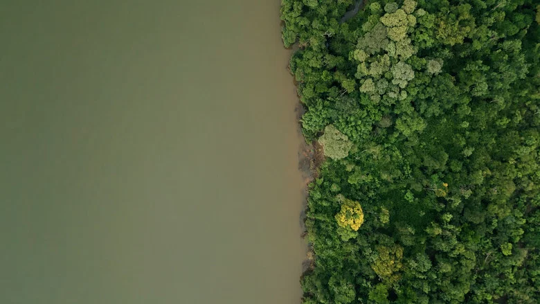 DAMS AMONG US screenshot 1