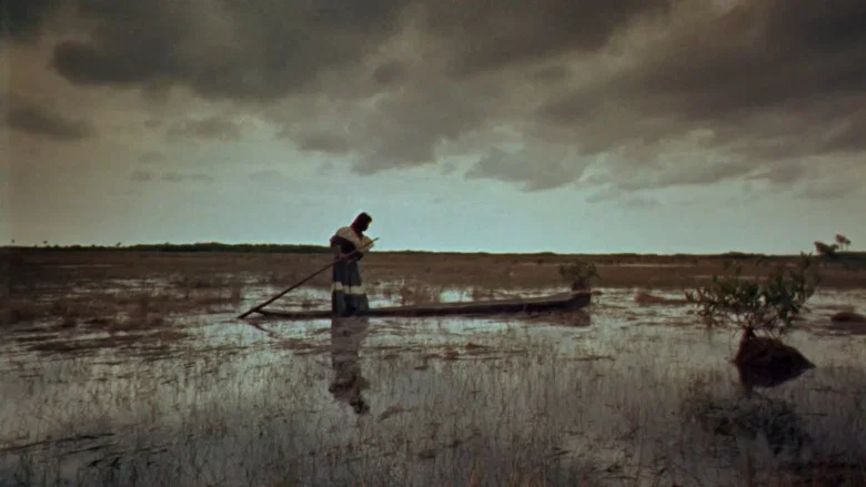 Wind Across the Everglades screenshot 7