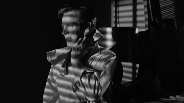 He Walked by Night screenshot 8