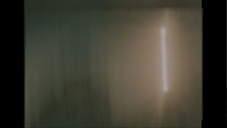 Cormorant screenshot 1