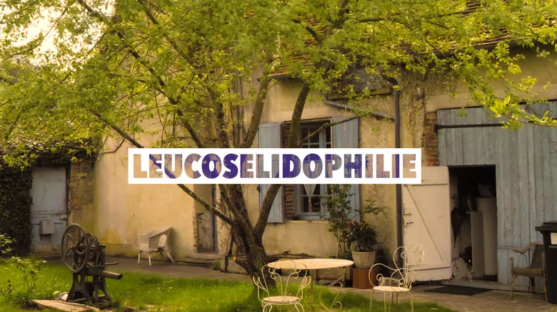 Leucosélidophilie screenshot 1