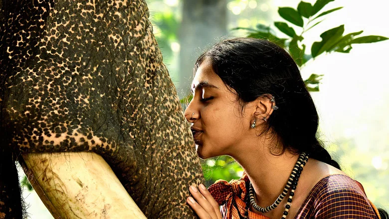 Kumki screenshot 3