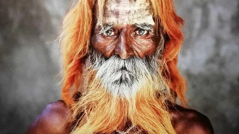 McCurry: The Pursuit of Colour screenshot 1