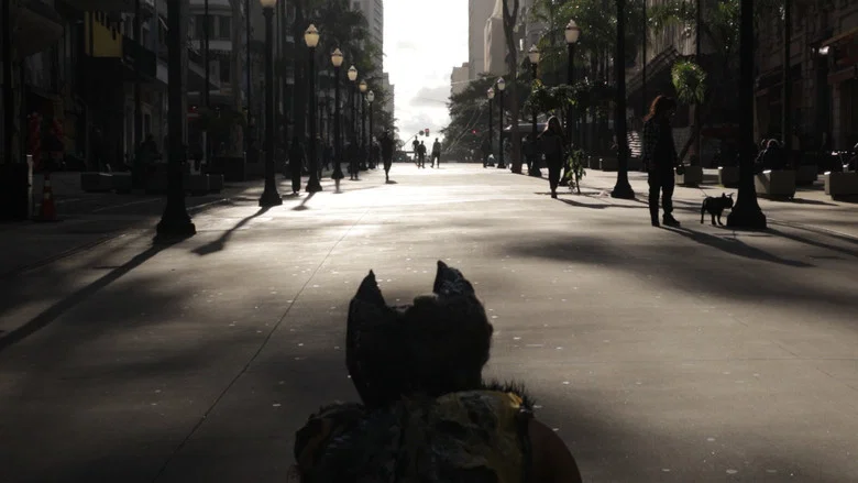 Dia de Cãos screenshot 1