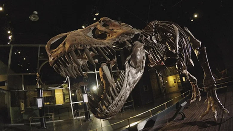 Dinosaur Extinction: Behind the Asteroid Impact Theory screenshot 1