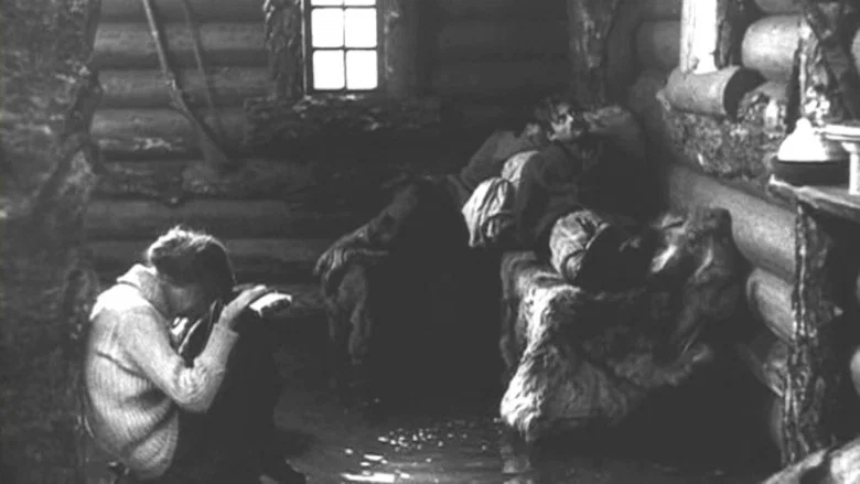 By the Law screenshot 8