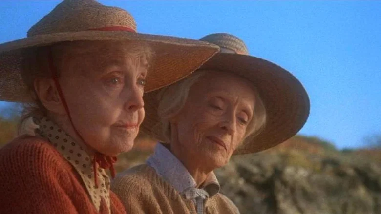 The Whales of August screenshot 2