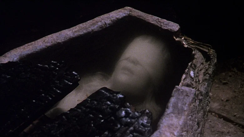 The Watcher in the Woods screenshot 7
