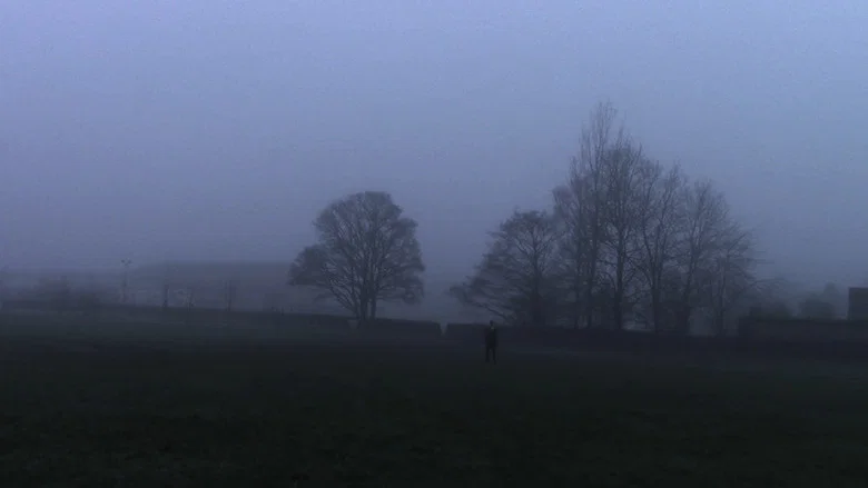 Autoscopic Paranoia screenshot 2