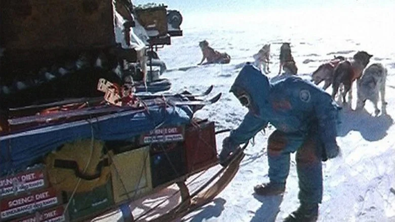 Au Sud du Sud screenshot 4