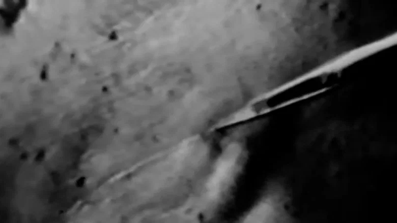 The Act of Seeing with One's Own Eyes screenshot 2