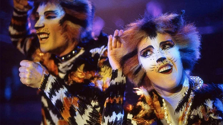 Cats screenshot 8