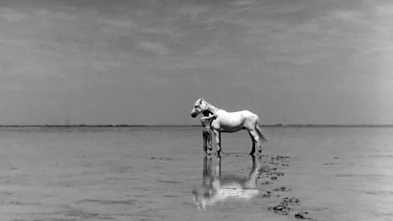 White Mane screenshot 5